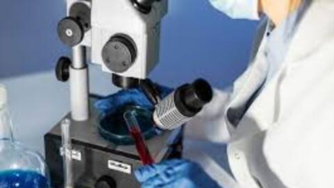 Hướng dẫn Quy trình kỹ thuật về Vi sinh – Tập 2