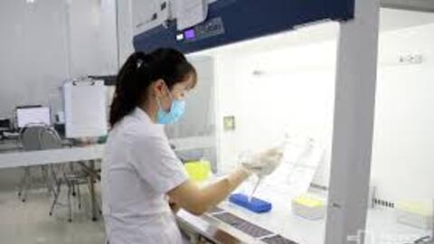 Thông tư số 08/2026/TT-BYT Hướng dẫn về giám định tư pháp trong lĩnh vực chuyên môn thuộc thẩm quyền quản lý của Bộ Y tế