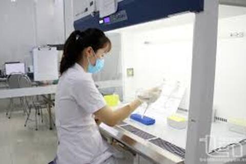 Thông tư số 08/2026/TT-BYT Hướng dẫn về giám định tư pháp trong lĩnh vực chuyên môn thuộc thẩm quyền quản lý của Bộ Y tế